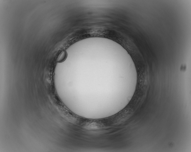 X0000111250755200907161406