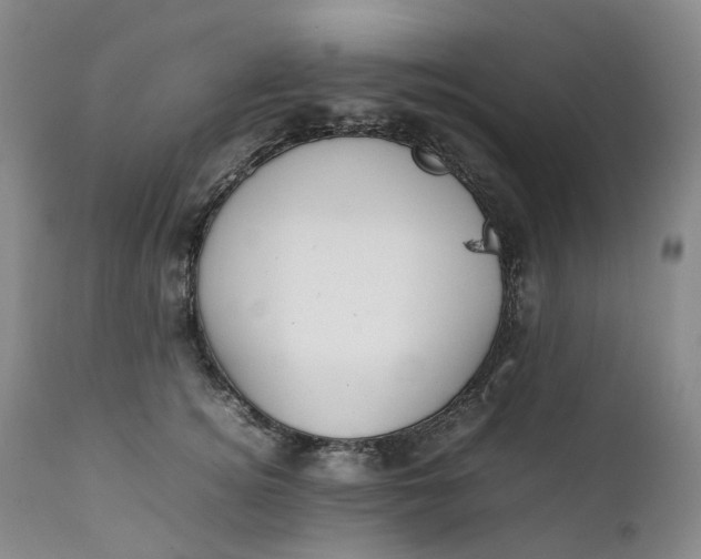 X0000111250756200907161406