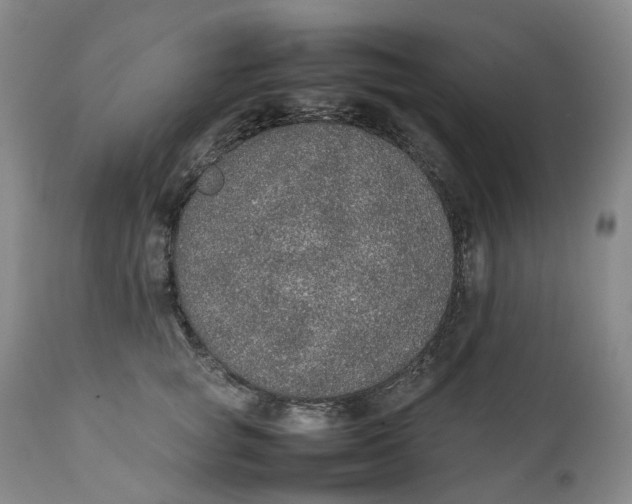 X0000111250757200907161406