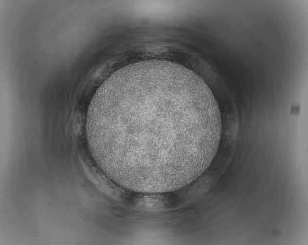 X0000111250758200907161406