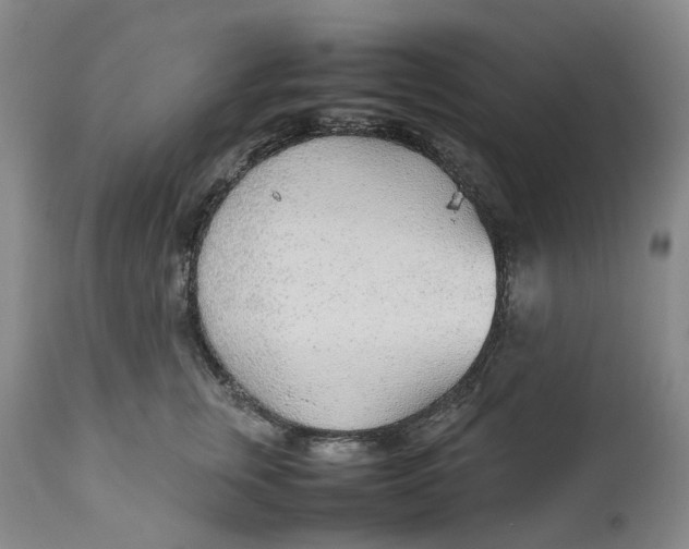 X0000111250759200907161406