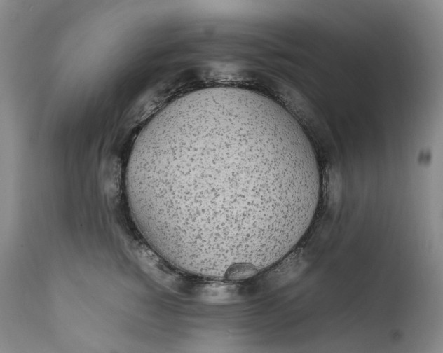 X0000111250760200907161406