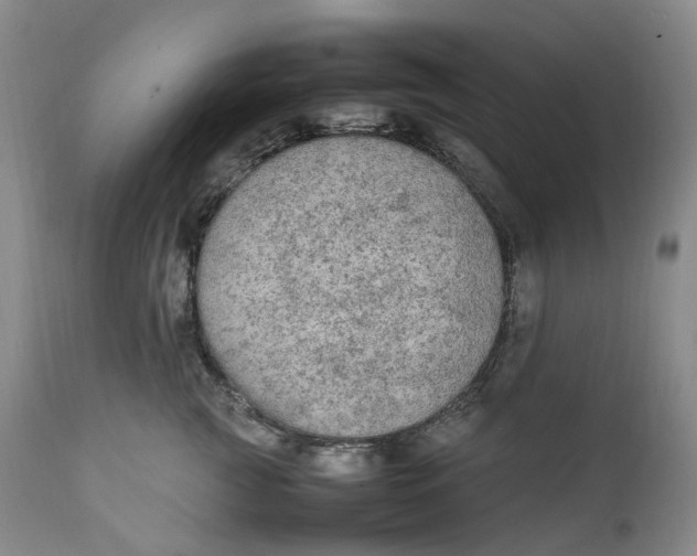 X0000111250761200907161406