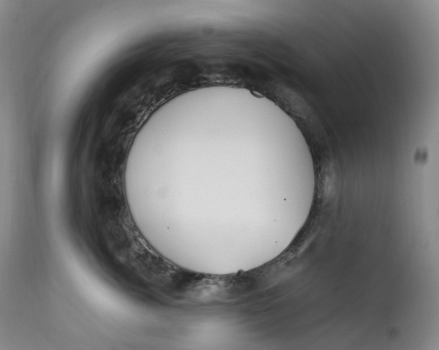 X0000111250764200907161406