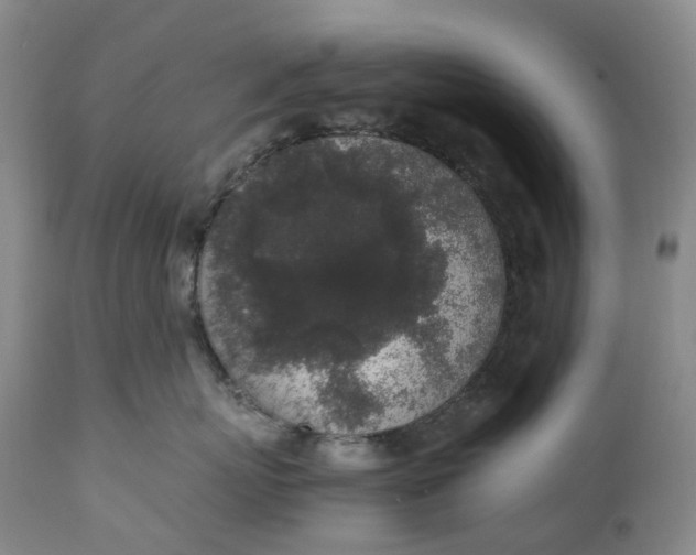 X0000111250767200907161406