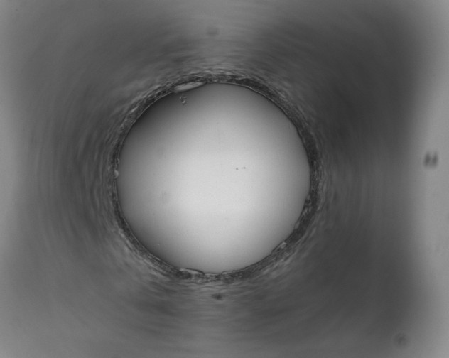 X0000111250769200907161405