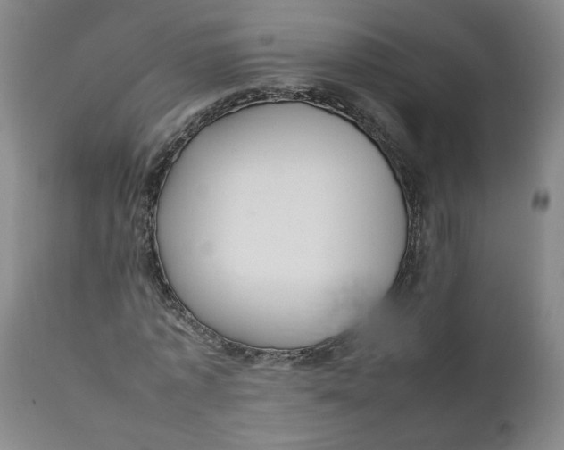 X0000111250773200907161405