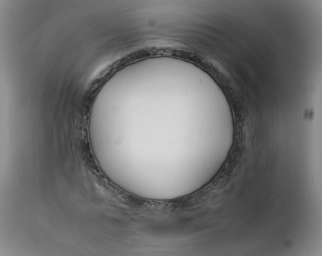 X0000111250775200907161405