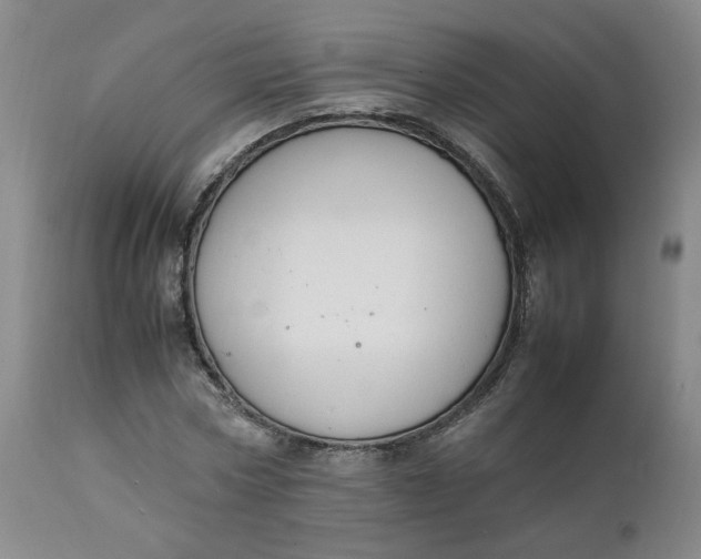 X0000111250778200907161405