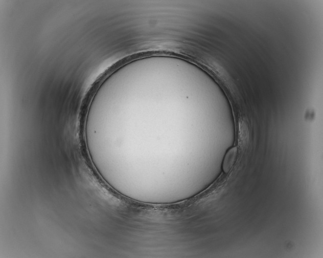 X0000111250780200907161405