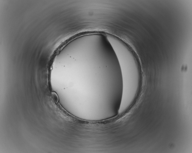 X0000111250781200907161405