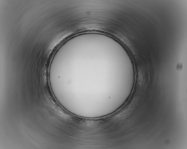 X0000111250782200907161405