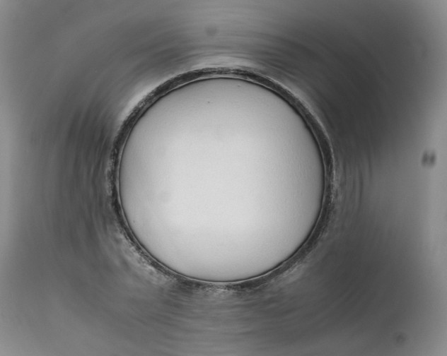 X0000111250783200907161405