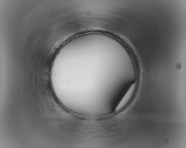 X0000111250785200907161405