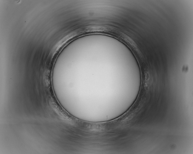 X0000111250786200907161405