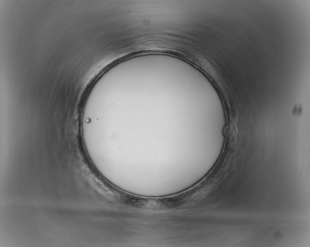 X0000111250787200907161405