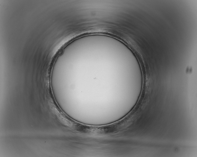 X0000111250789200907161405