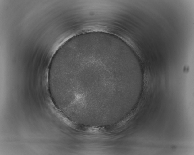 X0000111250790200907161405