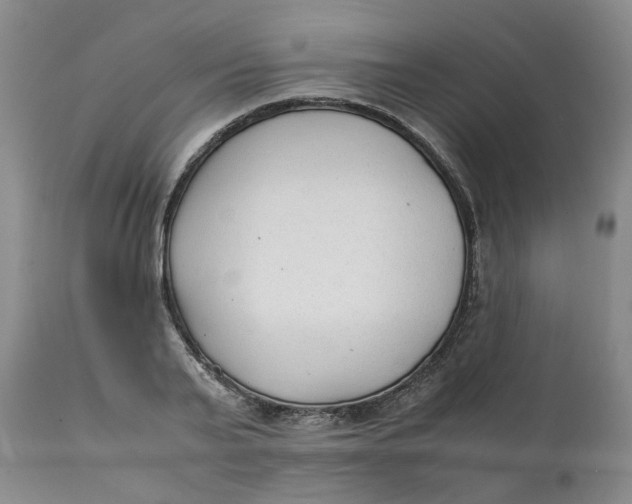 X0000111250791200907161405