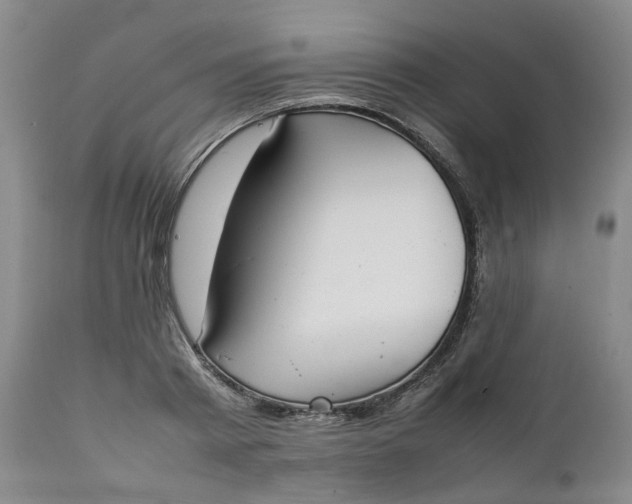 X0000111250793200907161405