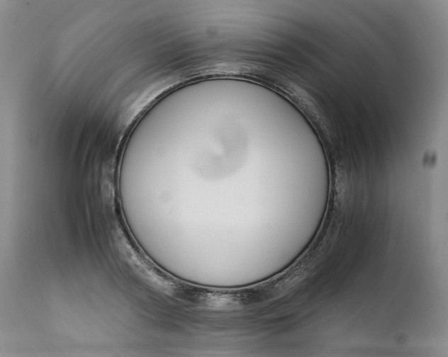 X0000111250794200907161405