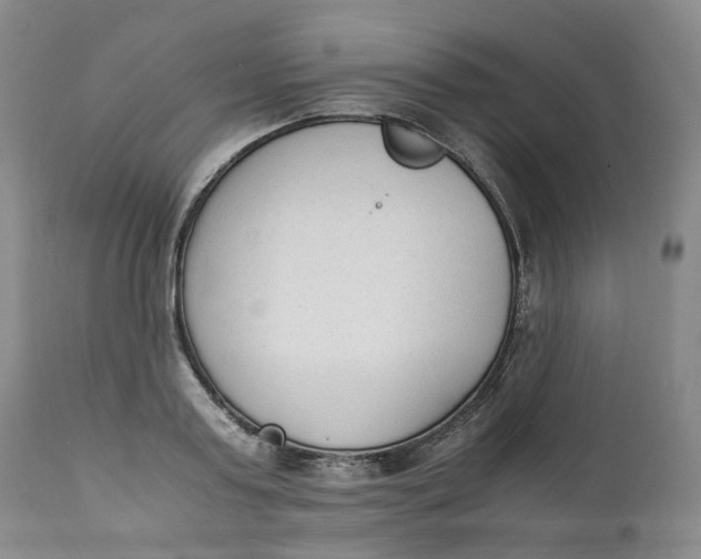 X0000111250795200907161405