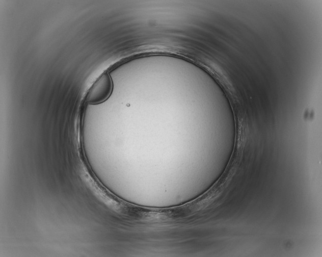 X0000111250796200907161405