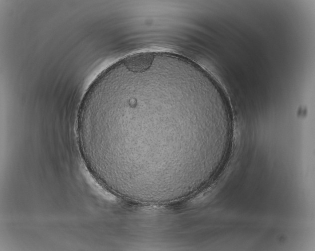 X0000111250797200907161405