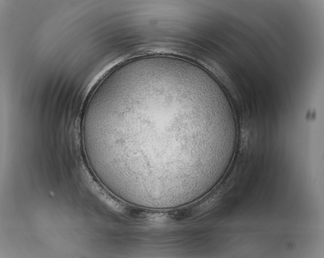 X0000111250798200907161405