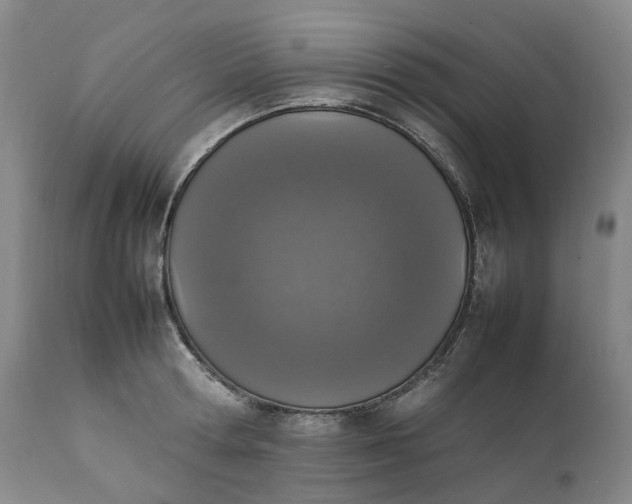 X0000111250802200907161405