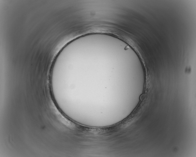 X0000111250803200907161405