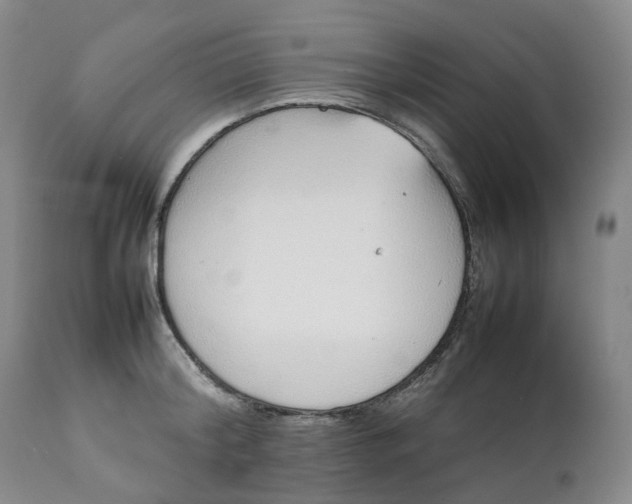 X0000111250804200907161405