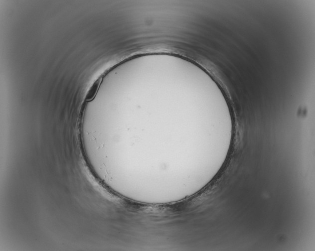 X0000111250805200907161405