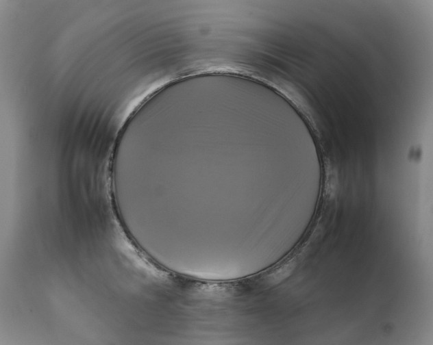 X0000111250806200907161405