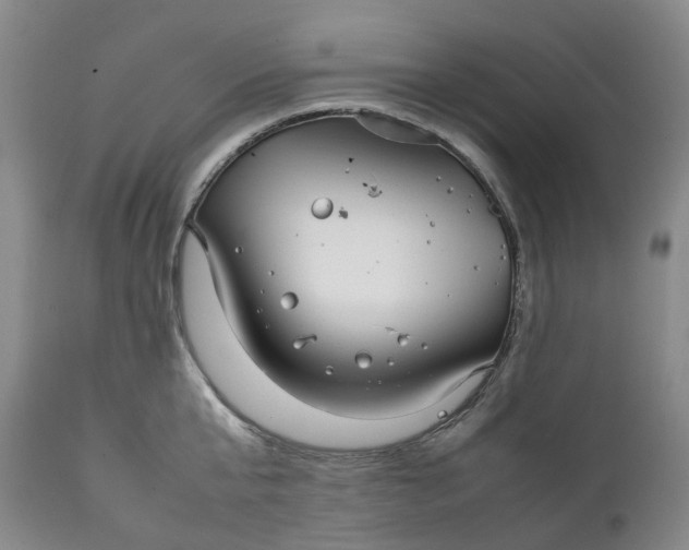 X0000111250807200907161405