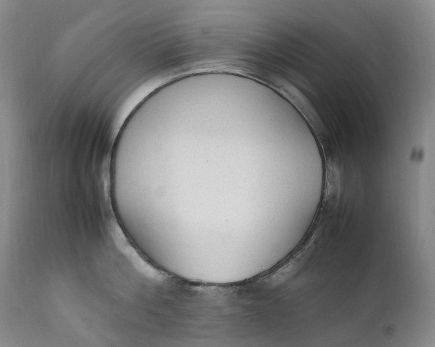 X0000111250812200907161405