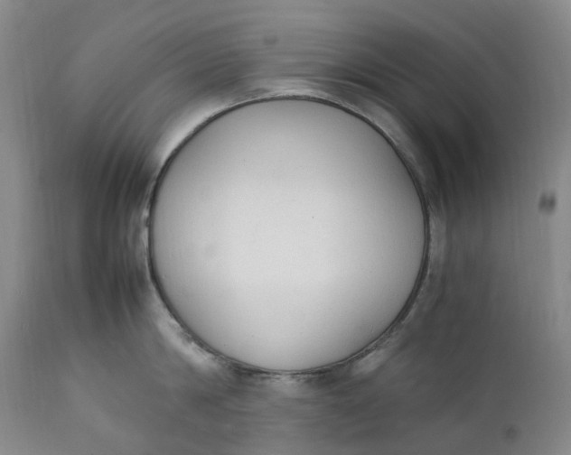 X0000111250814200907161404