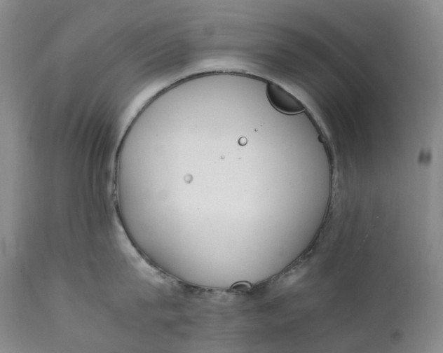 X0000111250815200907161404