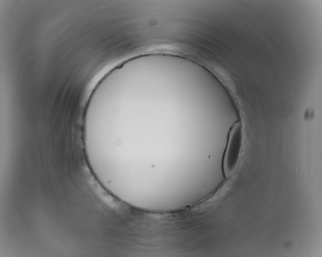 X0000111250816200907161404