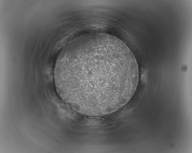 X0000111250819200907161404