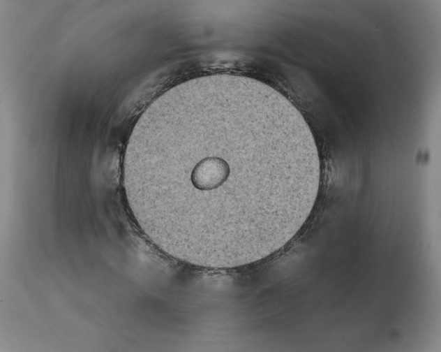 X0000111250820200907161404