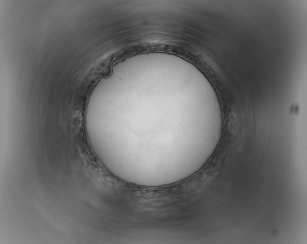 X0000111250821200907161404