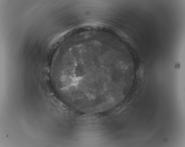 X0000111250822200907161404