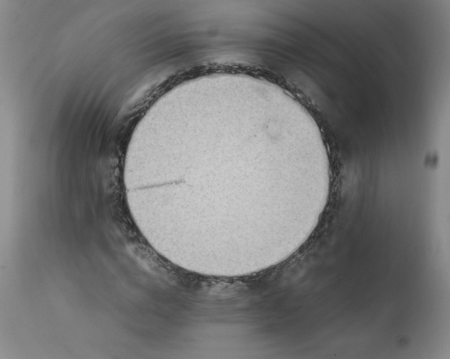 X0000111250824200907161404