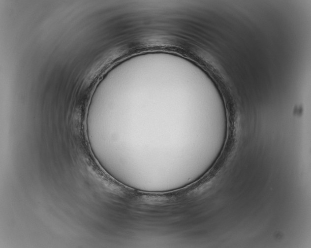 X0000111250825200907161404