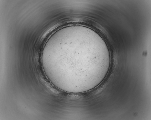 X0000111250826200907161404