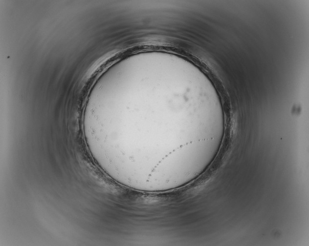 X0000111250829200907161404