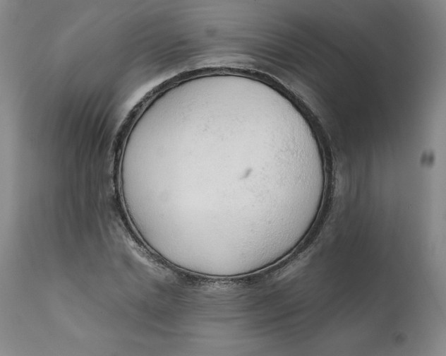 X0000111250830200907161404