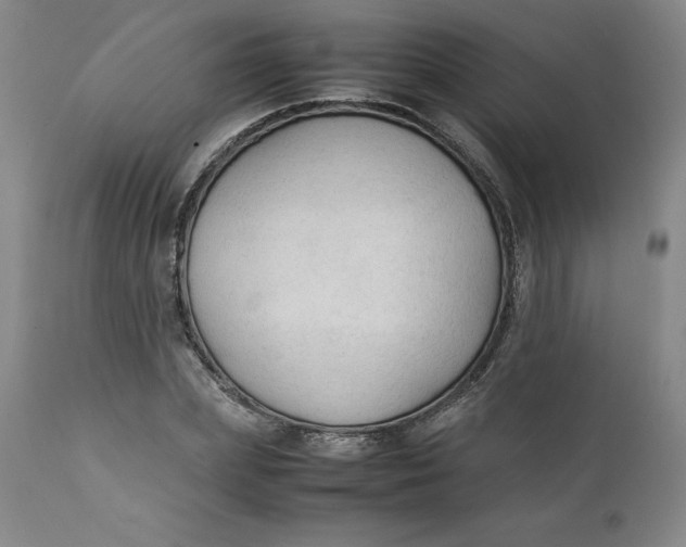 X0000111250831200907161404