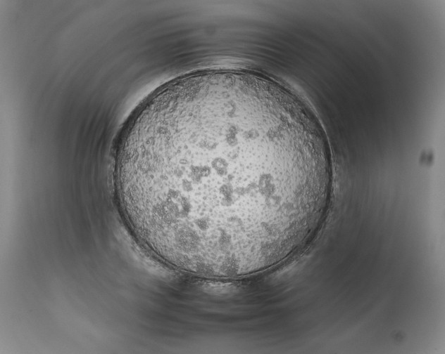 X0000111250835200907161404